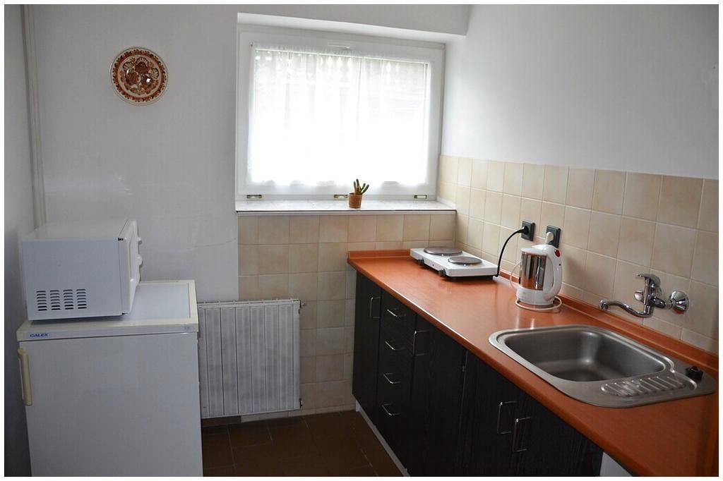 Pension Dvoracek Svoboda nad Úpou Cameră foto