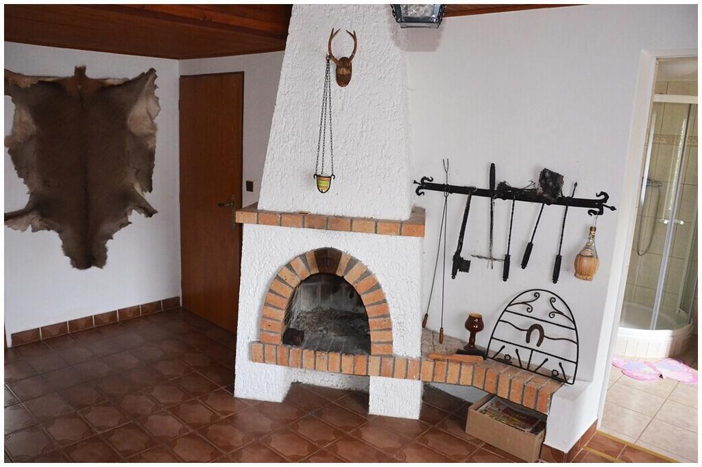Pension Dvoracek Svoboda nad Úpou Cameră foto