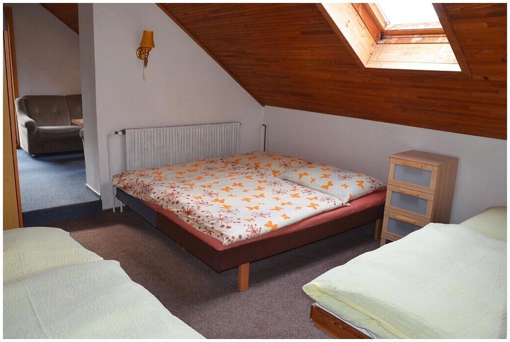 Pension Dvoracek Svoboda nad Úpou Cameră foto