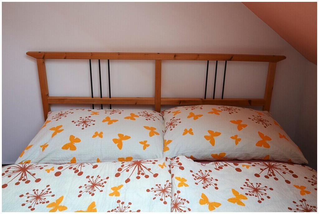 Pension Dvoracek Svoboda nad Úpou Cameră foto